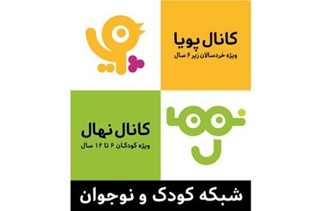 شبکه پویا